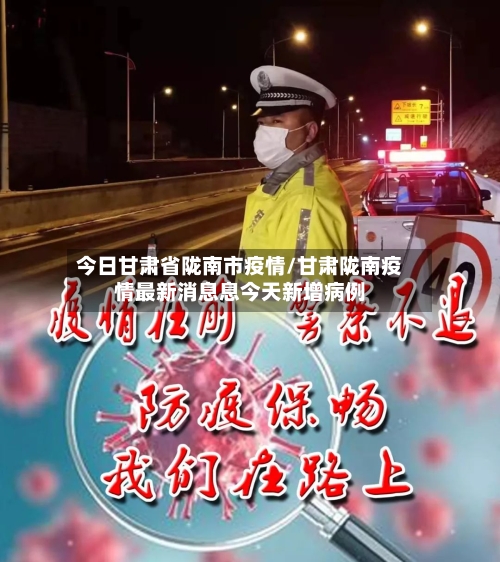 今日甘肃省陇南市疫情/甘肃陇南疫情最新消息息今天新增病例-第2张图片