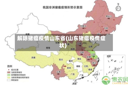 解除猪瘟疫情山东省(山东猪瘟疫情症状)-第2张图片