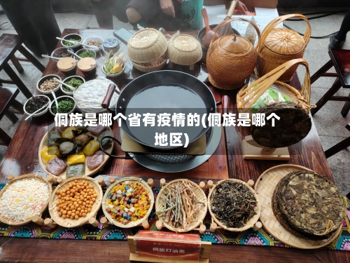 侗族是哪个省有疫情的(侗族是哪个地区)-第1张图片