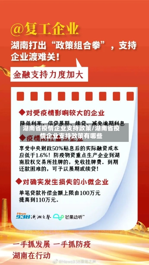 湖南省疫情企业支持政策/湖南省疫情企业支持政策有哪些-第2张图片