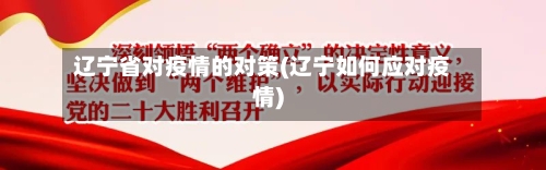 辽宁省对疫情的对策(辽宁如何应对疫情)-第2张图片