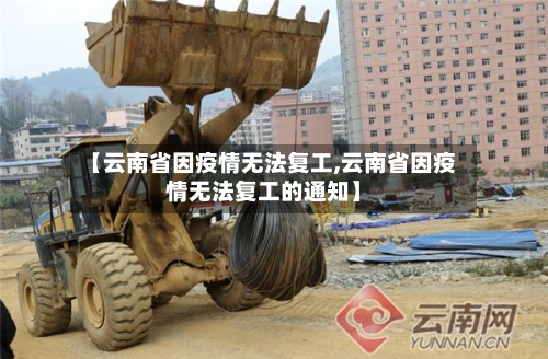 【云南省因疫情无法复工,云南省因疫情无法复工的通知】-第2张图片
