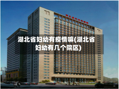 湖北省妇幼有疫情嘛(湖北省妇幼有几个院区)-第2张图片