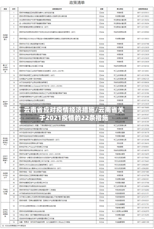 云南省应对疫情经济措施/云南省关于2021疫情的22条措施-第3张图片