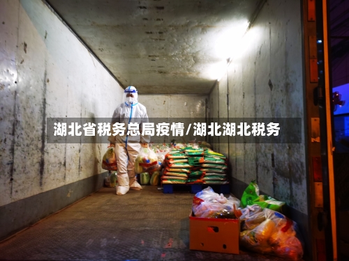 湖北省税务总局疫情/湖北湖北税务-第1张图片
