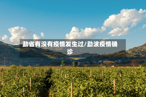 勐省有没有疫情发生过/勐波疫情确诊-第1张图片