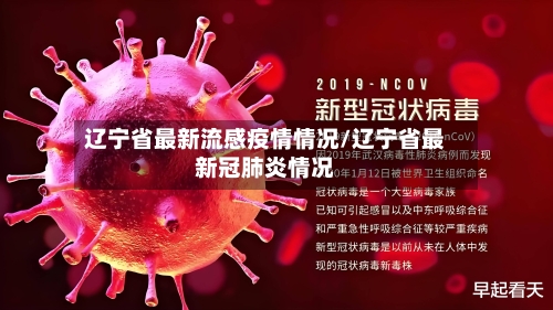 辽宁省最新流感疫情情况/辽宁省最新冠肺炎情况-第1张图片