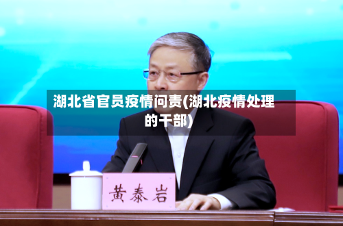 湖北省官员疫情问责(湖北疫情处理的干部)-第3张图片